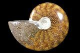 Polished, Agatized Ammonite (Cleoniceras) - Madagascar #88074-1
